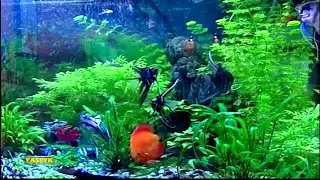 Окончание эфира (Yaslyk (Туркменистан), 09 февраля 2024)