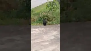 paktam baru lepas putus cinta ka? ahhaha 