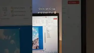 How to FIX SQUISHED IMAGES in PowerPoint 😩😖 