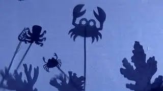 О чём мечтают осьминоги