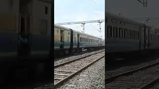 beautiful train 