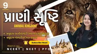 Std 11 Science Biology Ch 4 | Prani Shrusti | Animal Kingdom | પ્રાણી સૃષ્ટિ_09