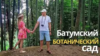 Ботанический сад Батуми - чудесное место, которое обязательно нужно посетить