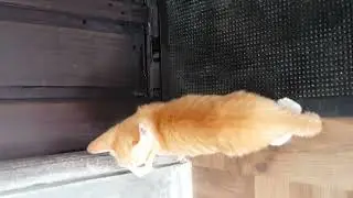 suka intip orang mandi😂