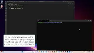 Python "Hello, world" Example