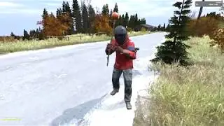 Моменты с нереальным комариком в DayZ Standalone