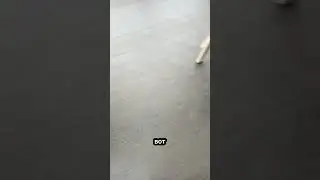 Видео от нашего клиента