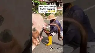 Selain peduli dengan sapi, Peduli juga dengan lingkungan 
