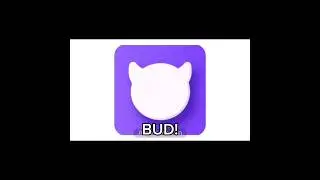 Download BUD now! 