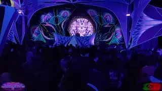 Indigo genaration 5 / Parasense / 1080p@60