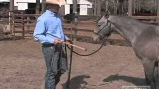 Trainer Rob Leach - A Horse Relating to Pressure
