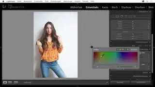 Lightroom Teiltonung