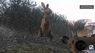 Arma 3 La maldición del Conejo Ilario