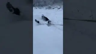 Покатушки с LAVRENSEM