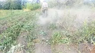 Косим ботву картофеля