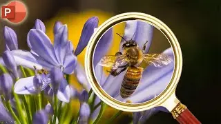 Magnifying Glass Zoom Effect in Microsoft PowerPoint