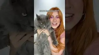 Caro’s cat is a wild one 🥸