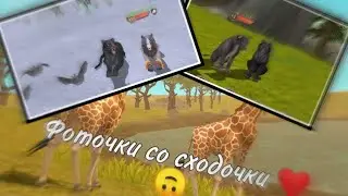 \\Фоточки со сходочки//
