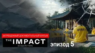ВОЗДЕЙСТВИЕ. Эпизод 5. Кейс Фалунь Дафа