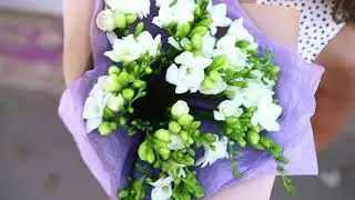 Букет из 25 белых фрезий