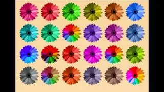 2 ta bir xil gul bor, ularni topa olasizmi?There are 2 identical flowers, can you find them?#shorts