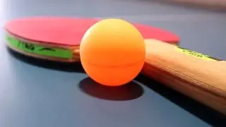 Nothing but Table tennis!