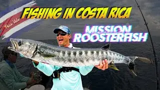 Roosterfish. Angeln in Costa Rica Herradura