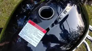 What kind of gasoline should I use for my Alpha moped?