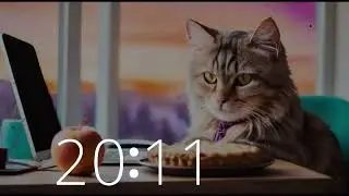 30 Minutes of Upbeat Tech Cat Grooves: Lofi Beats for Focus & Creativity 🐱💻 #musictimers