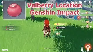 Valberry Location - Genshin Impact