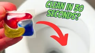 Throw a FANCY Dishwasher Tablet in Your Toilet and Watch What Happens