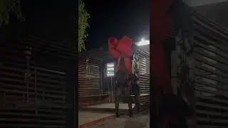 Crossdresser гуляет на улице