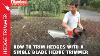 【Hedge Trimmer】How to Trim Hedges With A Singel Blade Hedge Trimmer