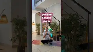 #пранаяма #мудри #бандхи #адхойога #adhoyoga #новевідео #йогапрактика #йогаонлайн