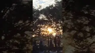 CURUG CUBEUREUM Cibodas (Vertical Video)