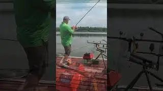 Рибалка в завоз #shorts