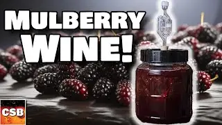 Mulberry Wine from Whole Fruit - One Gallon Recipe - TLDR Cut
