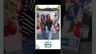 Cabina 360