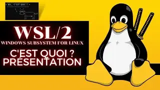 WSL (Windows Subsystem for Linux) C'EST QUOI ?