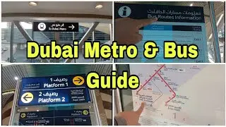 Dubai Metro & Bus Guide: Easy Tips for Travellers