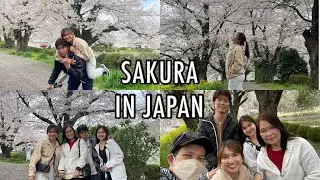 SAKURA IN JAPAN | CHERRY BLOSSOM