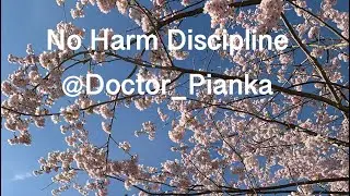 No harm discipline: redirecting behaviors with connection #parentingtips