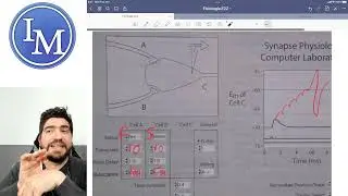 Fisiología | Primer parcial 8 | Constante de tiempo y constante de longitud y sumación.