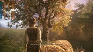 A Plague Tale Innocence - ryzen 5 1600 + 1070 лагает