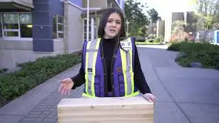 Building with mass timber
