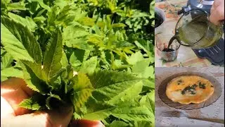 Sleep is 🌿 food: scrambled eggs, juice and seasoning. Food for long-livers.