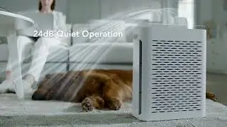Govee Smart Air Purifiers for Pets | Cleaner with Washable Filter for Pet Hair