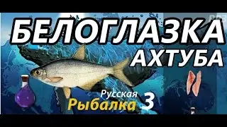Ловля белоглазки в русской рыбалке 3.99