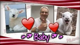 Bola Baby Puxa Saco | Panico Classicos