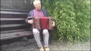 Николай Ванякин. Гармонь Жолтякова.